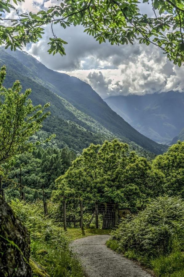 Grotto Zendralli Roveredo Exteriör bild