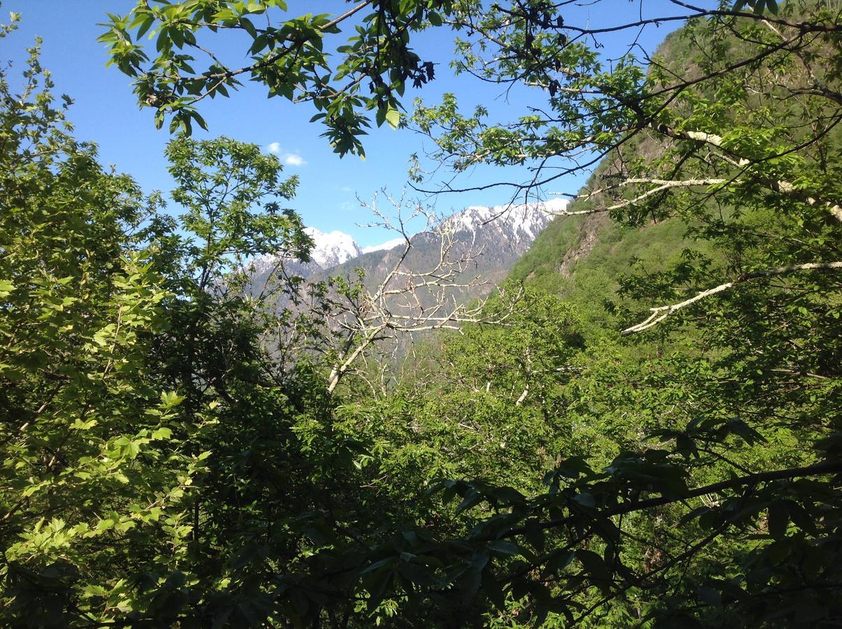 Grotto Zendralli Roveredo Exteriör bild